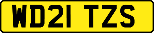 WD21TZS