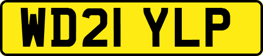 WD21YLP
