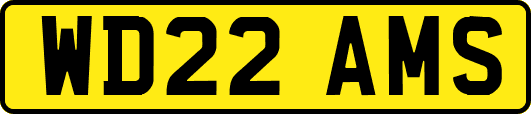 WD22AMS