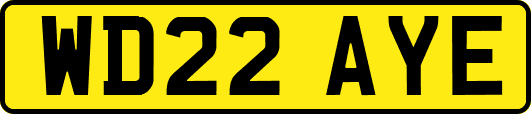 WD22AYE