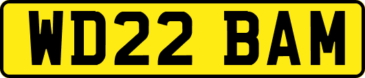 WD22BAM