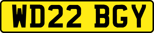WD22BGY