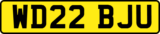 WD22BJU