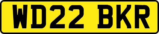 WD22BKR