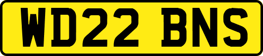 WD22BNS