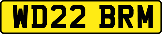WD22BRM