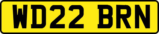 WD22BRN