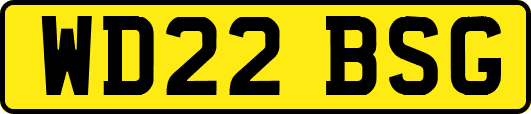 WD22BSG