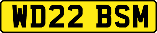 WD22BSM