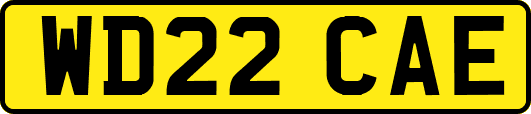 WD22CAE