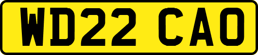 WD22CAO