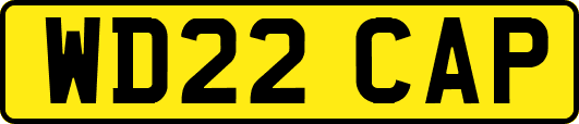 WD22CAP