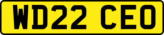WD22CEO