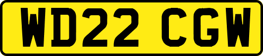 WD22CGW