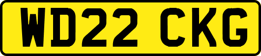 WD22CKG