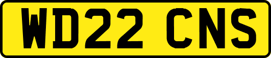 WD22CNS