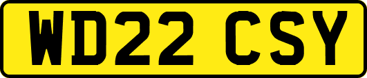 WD22CSY