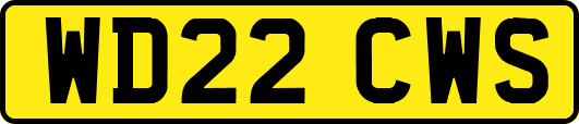 WD22CWS