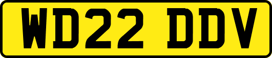 WD22DDV
