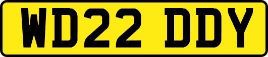 WD22DDY