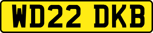WD22DKB