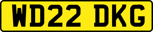 WD22DKG
