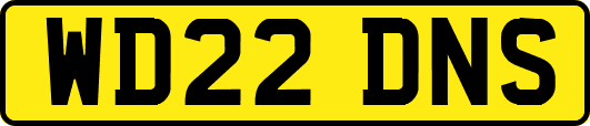 WD22DNS
