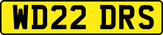 WD22DRS