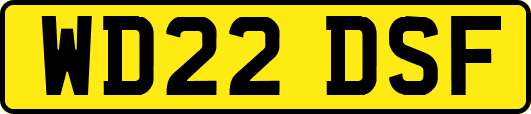 WD22DSF