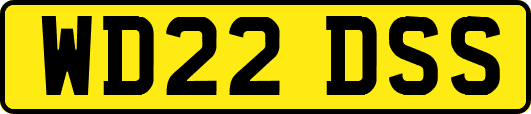 WD22DSS