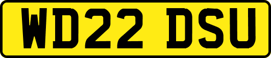 WD22DSU
