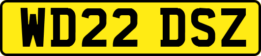 WD22DSZ
