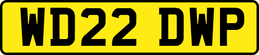 WD22DWP