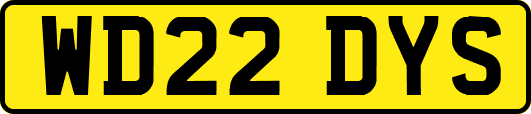 WD22DYS