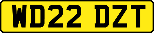 WD22DZT