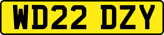 WD22DZY