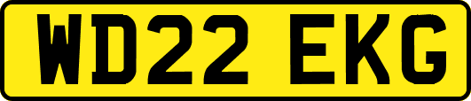 WD22EKG