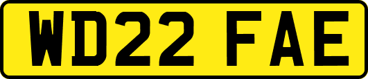 WD22FAE