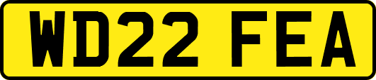 WD22FEA