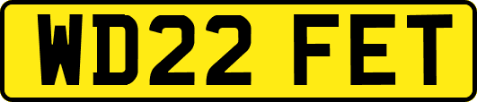 WD22FET