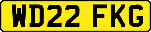 WD22FKG
