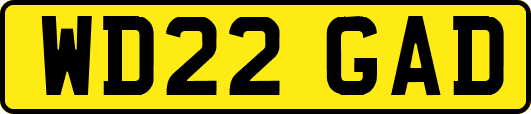 WD22GAD