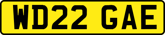 WD22GAE