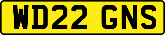 WD22GNS