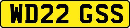 WD22GSS