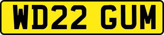 WD22GUM