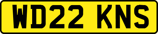 WD22KNS