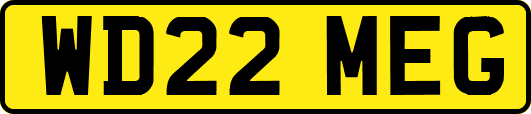 WD22MEG