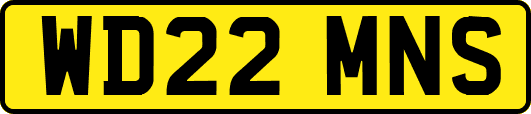 WD22MNS