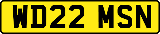 WD22MSN